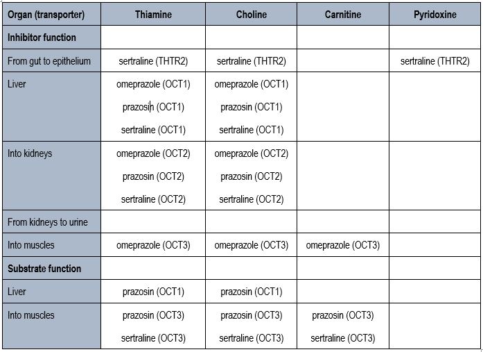 Matrix of medications, nutrients and transporters for Mrs AGH