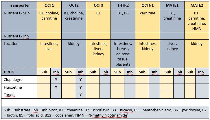 Mr ACH's drug-nutrient-transporter matrix Drug-nutrient-transporter matrix for Mr ACH