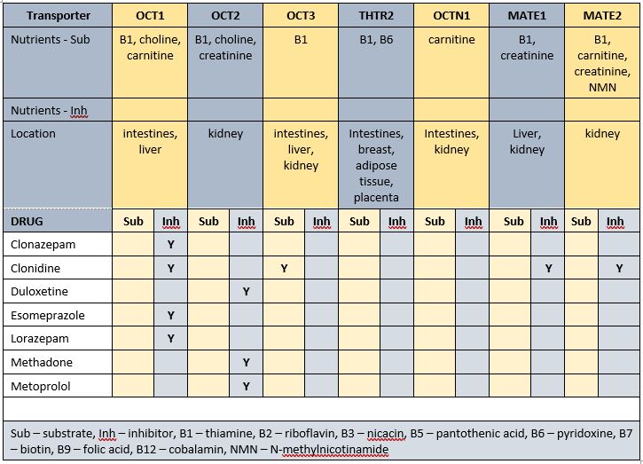 Drug-nutrient-transporter matrix for Mr AYM's prescribed medicines